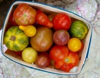 tomatoes thumb