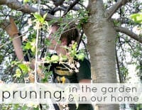 pruning thumb
