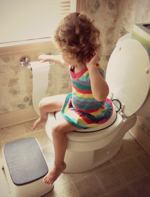 Potty Training 101: The Stubborn Child Edition - Andrea Dekker