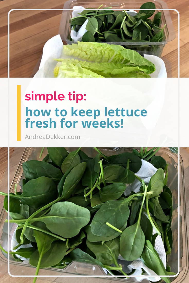 Have you ever dug to the back of your refrigerator for the lettuce or spinach, only to realize it was soggy and wilted? If so, this SUPER SIMPLE tip to keep lettuce fresh for weeks is just what you need!  This tip only takes 10 seconds to implement, and your lettuce will stay fresh so much longer! via @andreadekker