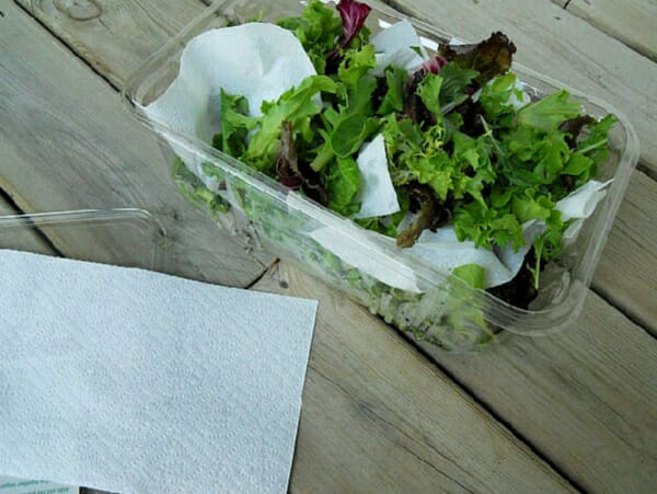 how to keep lettuce fresh longer