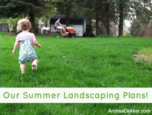 Our Summer Landscaping Plans