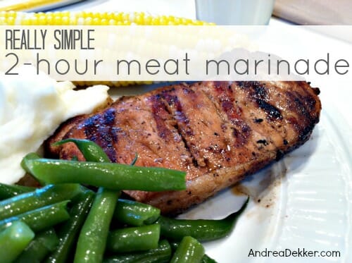 https://andreadekker.com/wp-content/uploads/2013/05/really-simple-meat-marinade.jpg