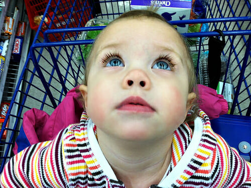 nora in the shopping cart