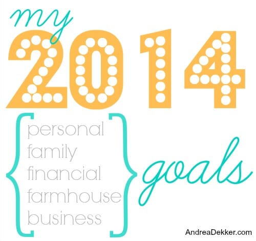 my 2014 goals