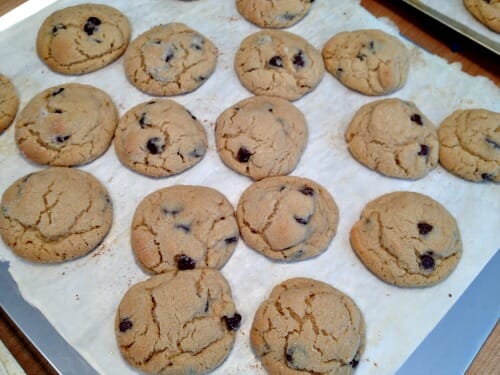 peanut butter chocolate chip cookies