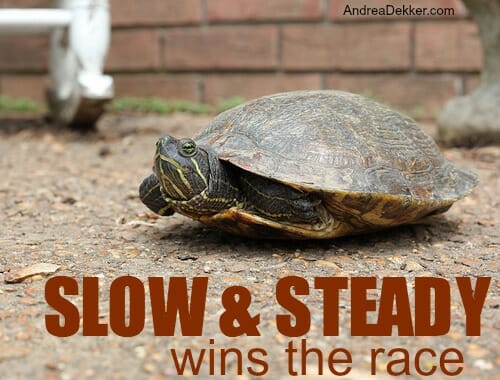 slow and steady