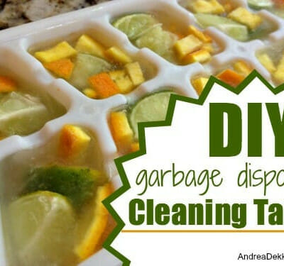 garbage disposal cleaning tabs