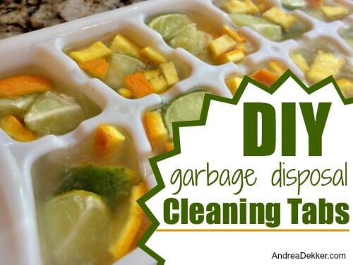 garbage disposal cleaning tabs