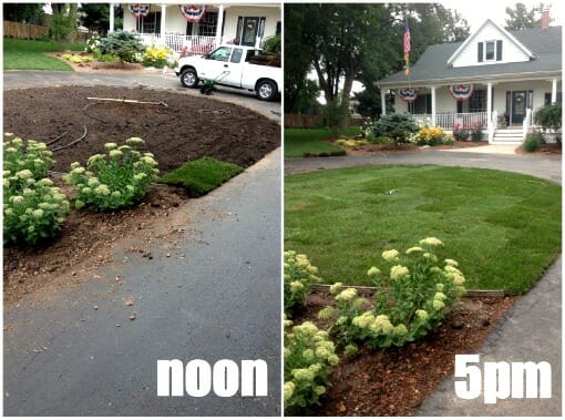 laying sod