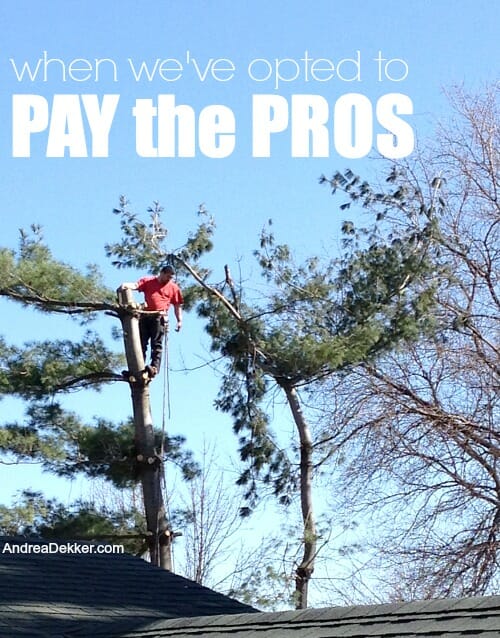 pay the pros