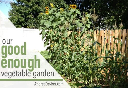 good enough vegetable garden