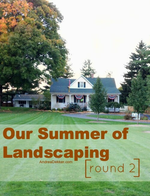 our summer of landscaping