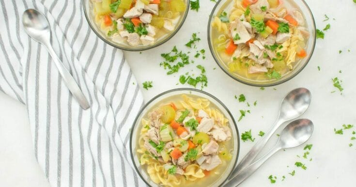 chicken noodle soup