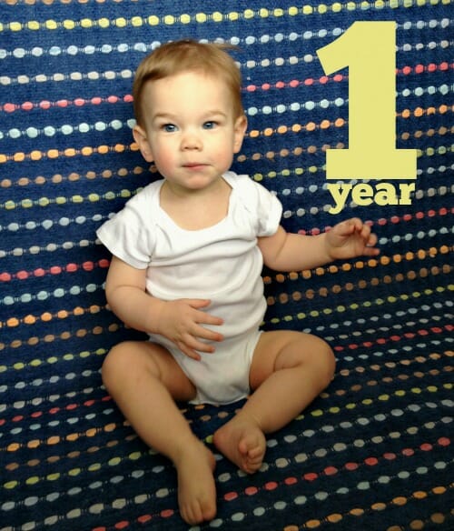 1 year old