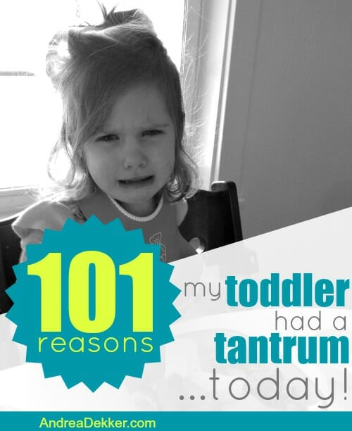 101 reasons my toddler had a tantrum today