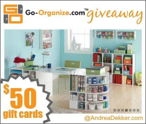 go organize giveaway