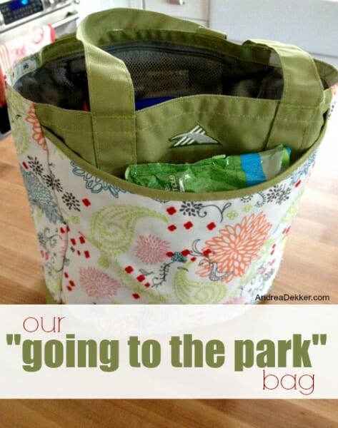 our going to the park bag