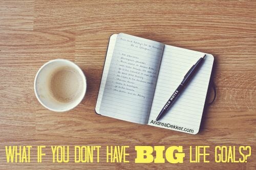 What If You Don't Have Big Life Goals? | Andrea Dekker