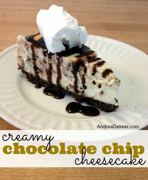 chocolate chip cheesecake