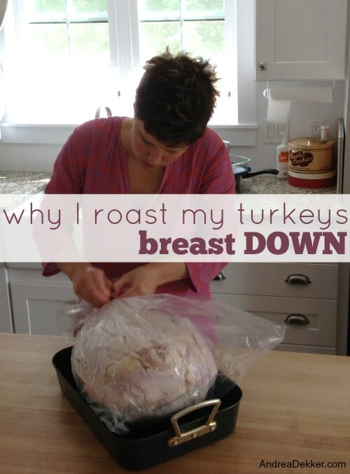 Why I Roast My Turkeys Breast DOWN Andrea Dekker