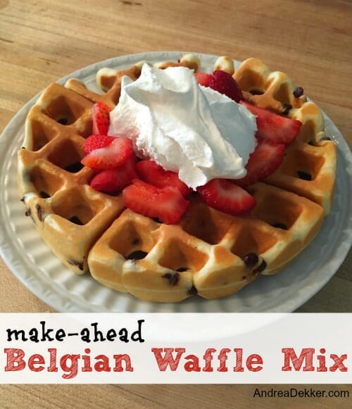 https://andreadekker.com/wp-content/uploads/2016/08/belgian-waffles.jpg