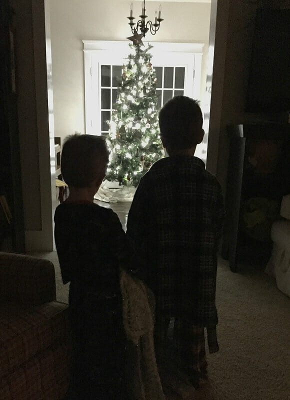 brothers by the christmas tree