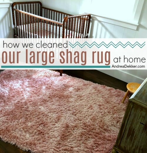 How We Cleaned Our Large Shag Rug At Home Andrea Dekker