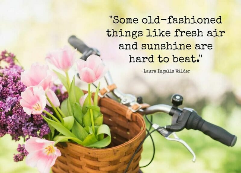 spring quote