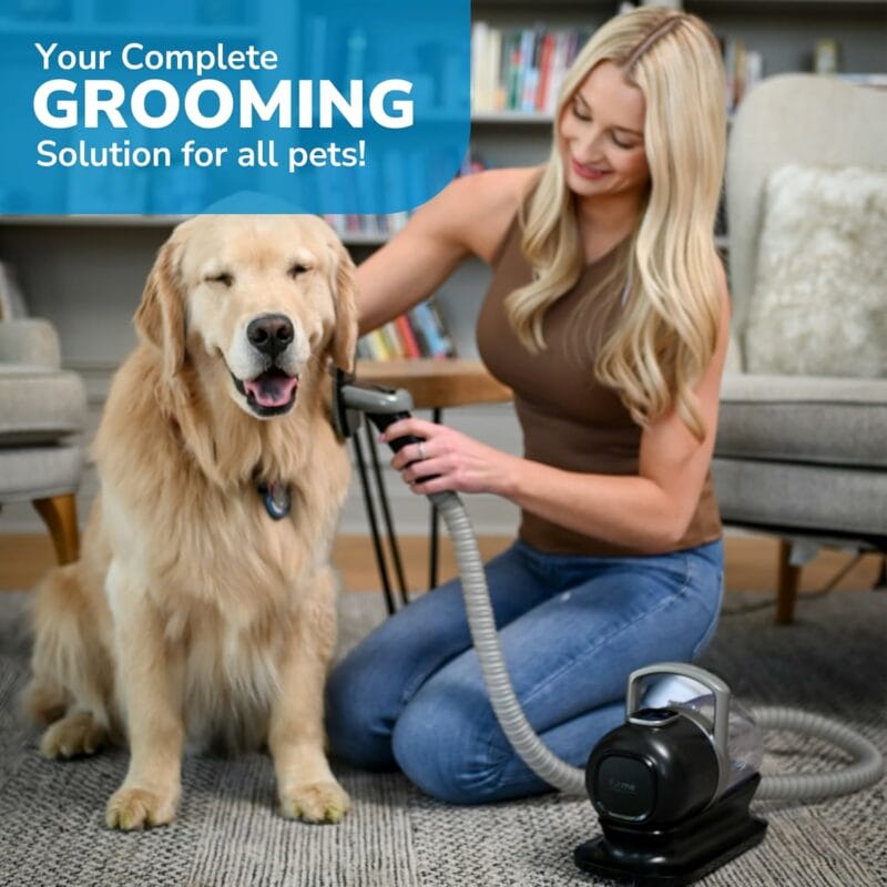 FurMe pet groomer