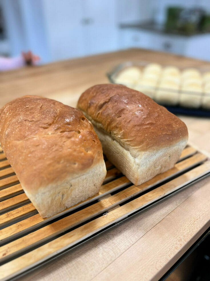 sourdough sandwich bread