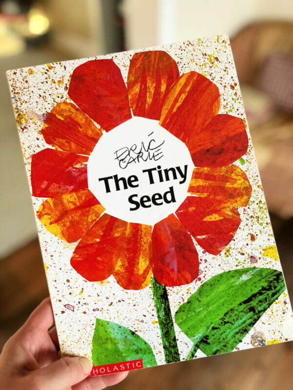 the tiny seed book