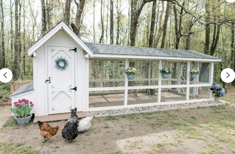 super cute chicken coop