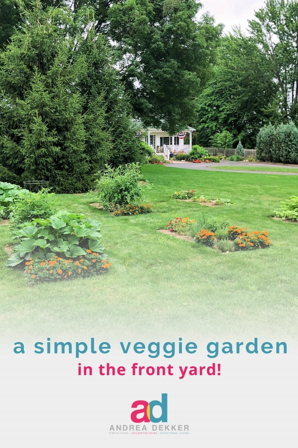 a simple vegetable garden