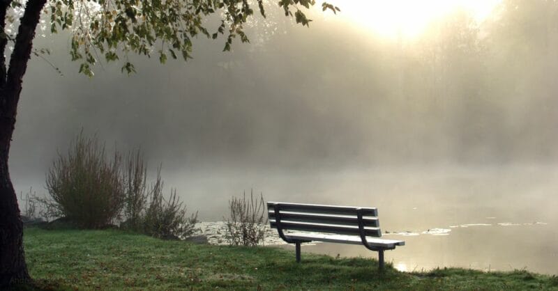 bench by the pond