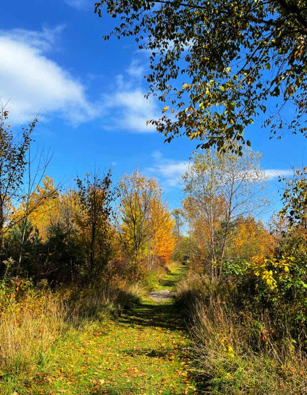 fall hiking