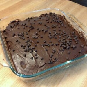 egg-free dairy-free chocolate cake