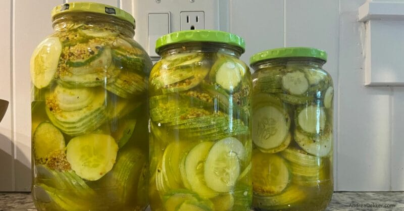 homemade dill pickles
