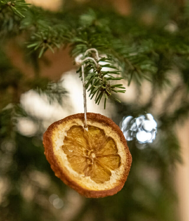 dried fruit ornaments