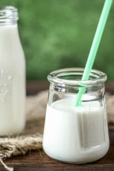 dry milk substitutes