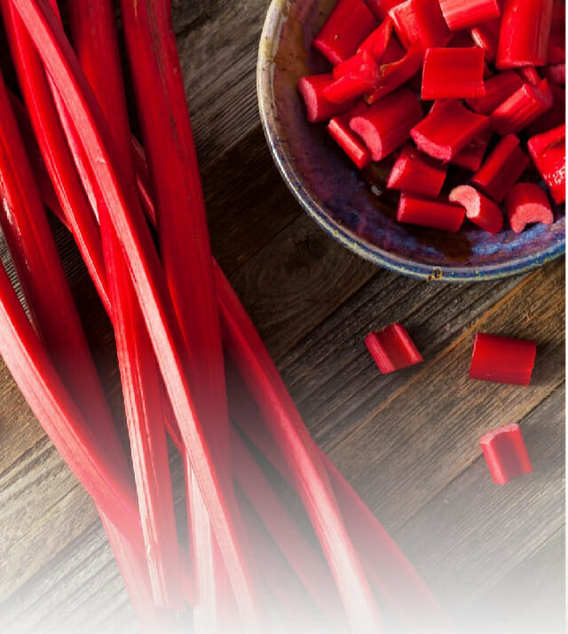 stalks of freshly picked rhubarb