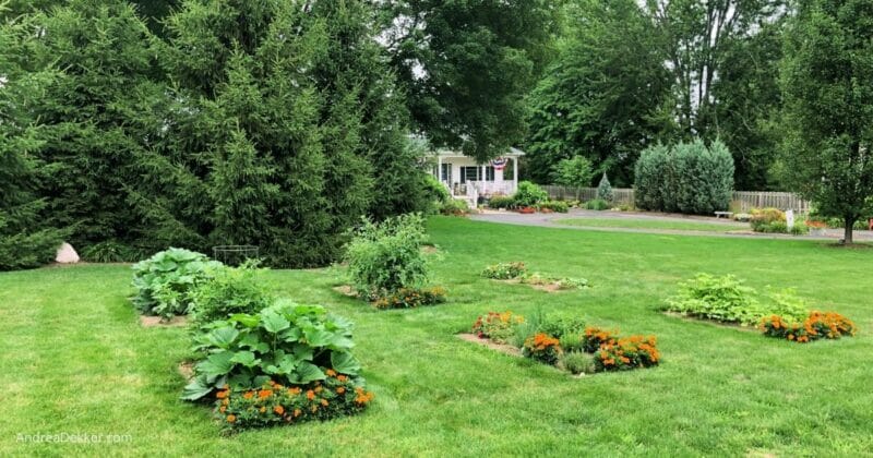 a simple front yard vegetable garden