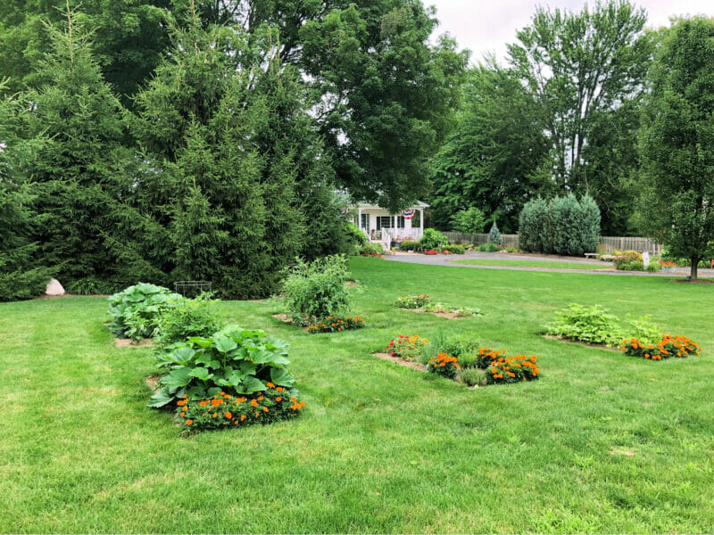 front yard vegetable garden