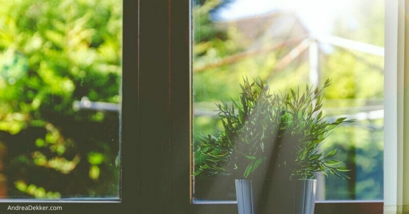 homemade all natural window and glass cleaner