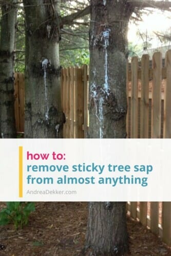 How to Remove Tree Sap from Almost Anything! | Andrea Dekker