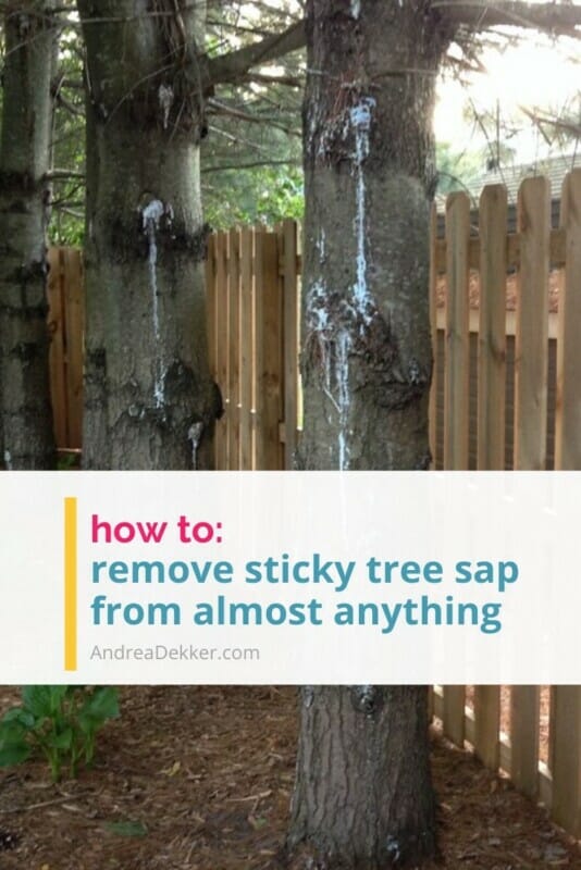 how to remove tree sap