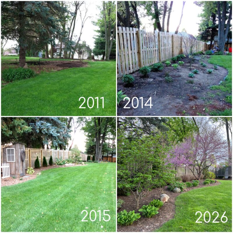 landscape progression