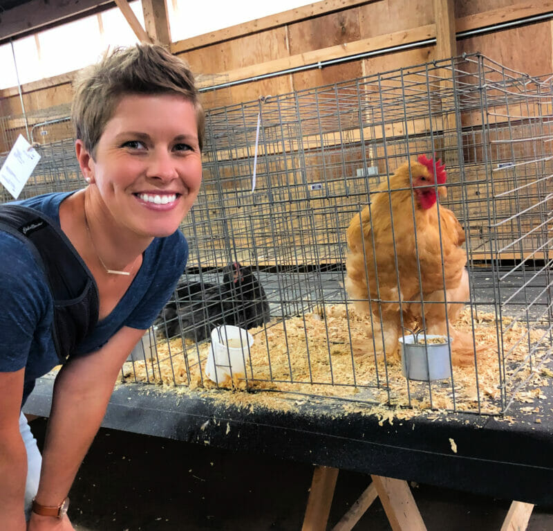 mom and the chicken