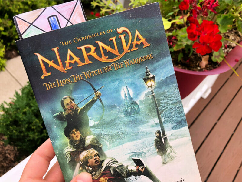Narnia Books