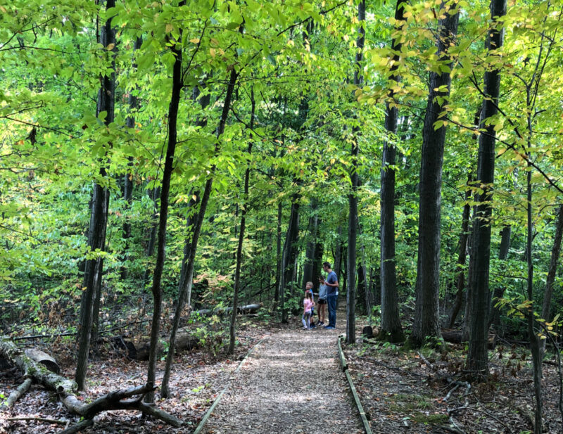 nature walk